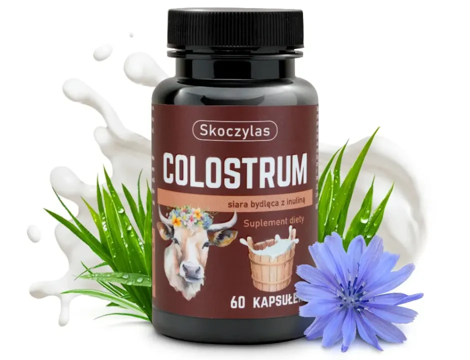 Colostrum wołowe