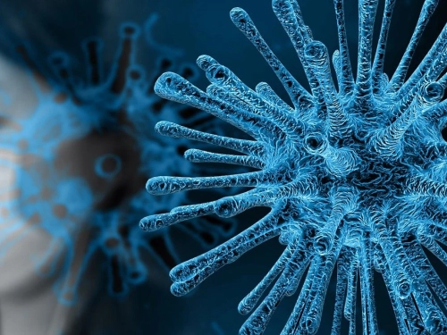 Koronawirus - jak przetrwać epidemię?